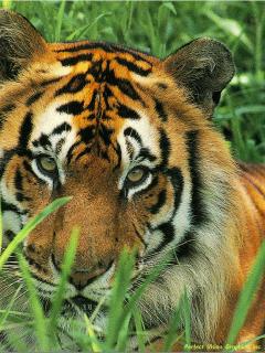 Other Wallpapers 0723